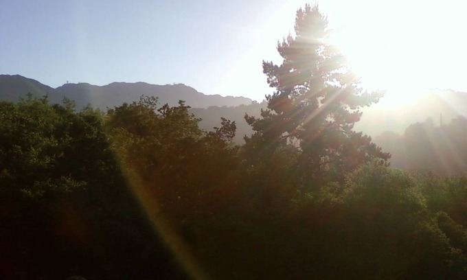 Topanga Apartment | Spacious Studio Nestled in Nature