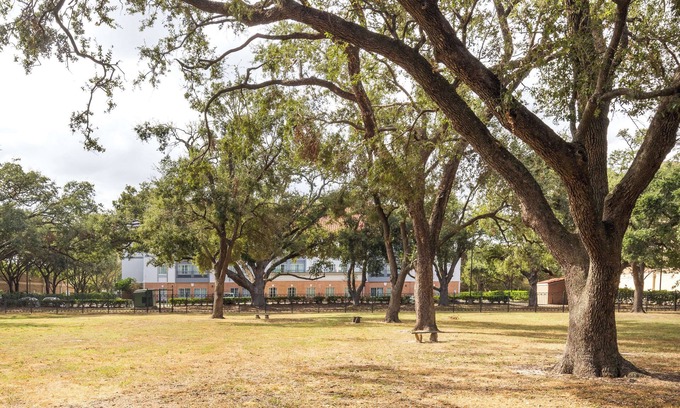 Barker Hotel | Spark by Hilton Houston West Clay Road