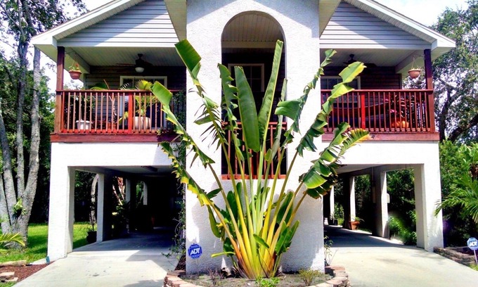 Town 'n' Country House | Sparkling Clean Tampa TreeHouse