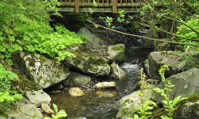 Williamstown Hotel | Stay Berkshires