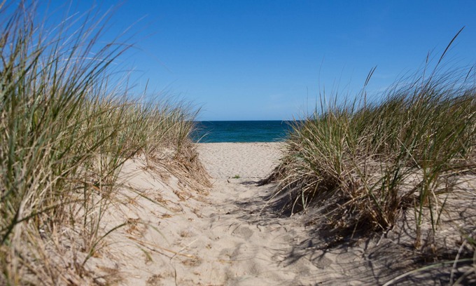 Siasconset House | STEPS TO THE SAND AND PLAYGROUND IN SCONSET CODFISH PARK 15 BEACH ST