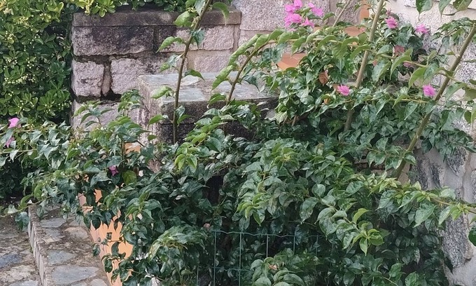 Petreto-Bicchisano House | Stone house