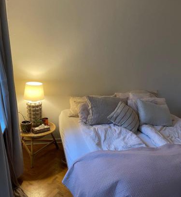 Odense House | Stort værelse udlejes i herskabslejlighed midt i Odense by