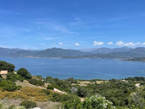 Calcatoggio Apartment | Studio entre mer et montagne
