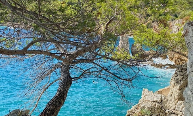 Cap-d'Antibes Apartment | Studio not overlooked: Sea-Mountains-Gardens View