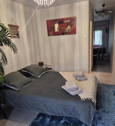 Saint-Brieuc Apartment | studio saint brieuc avec jardin