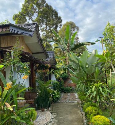 Bohorok Cabin | SumatraOrangutanDiscoveryVilla