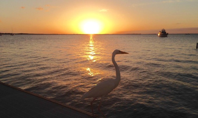 Key Largo Condo | Sunset Serenity at Moon Bay! Amazing Waterfront condo with Spectacular Sunsets!