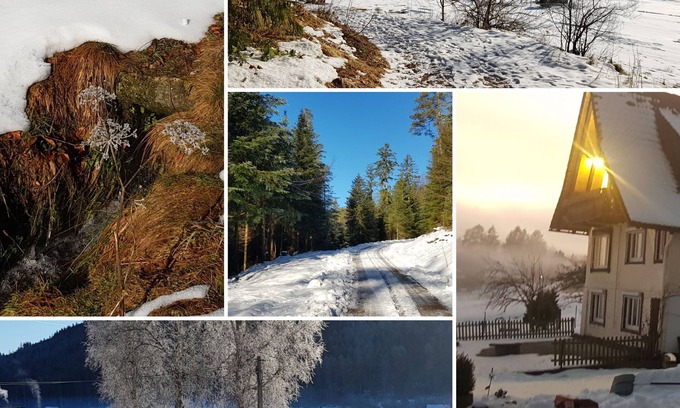 Buhlbach Apartment | Sunshine - the power of nature and the sauna
