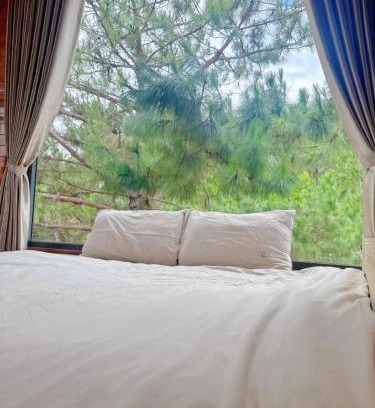Kon Plong Hotel | T'Gins Măng Đen Homestay