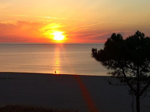 Saint-Cyprien Plage Apartment | T2 Les pieds dans l'eau vue Front de mer