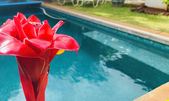 Bayview Apartment | Taro: One of two studios/Secluded pool oasis at Walelia Getaway - South Kaua'i