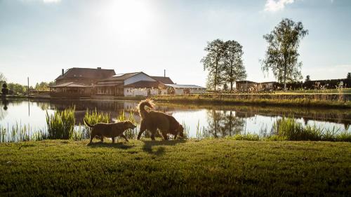 gmina Zebowice House | Tawerna Pod Kotwicą pokoje i domy wakacyjne