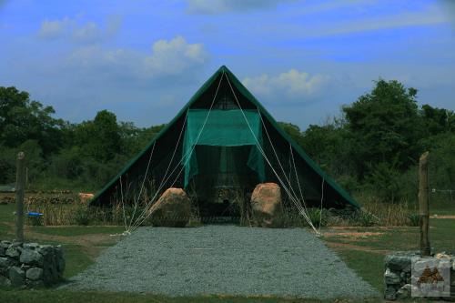 Tissamaharama Other | Tented Safari Camp by Base Camp Yala