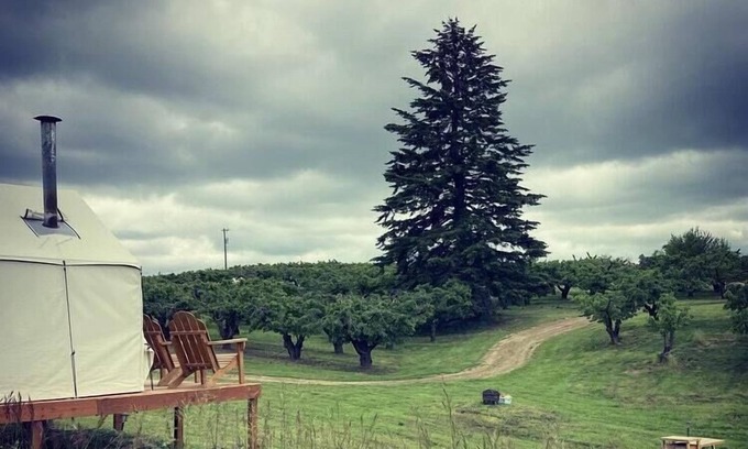 Mead RV Rental | Tentrr Signature Site - Hidden Acres Orchards