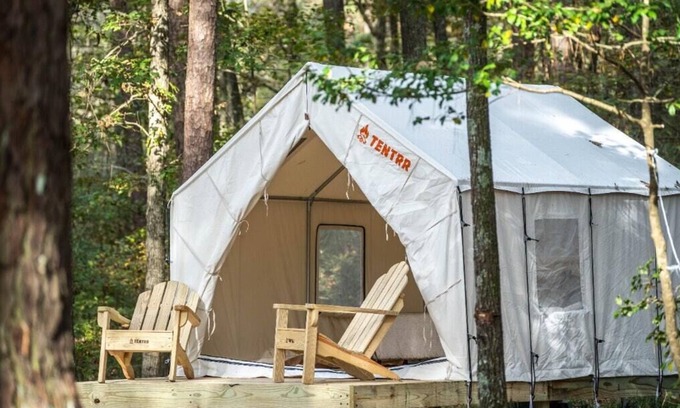 Morton RV Rental | Tentrr State Park Site - Mississippi Roosevelt State Park - Tall Trees A - Sing