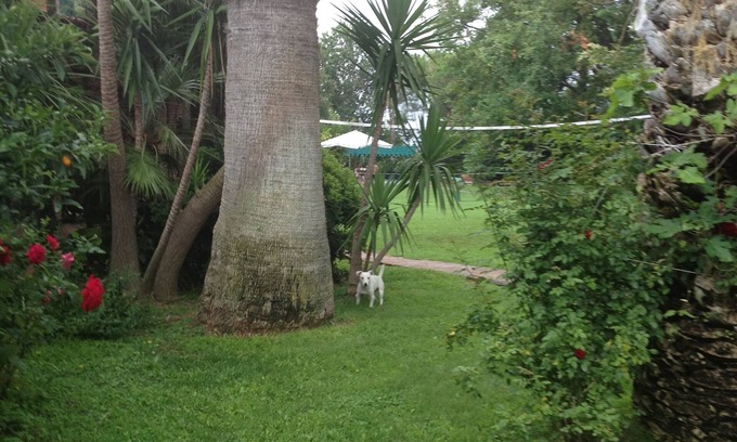 Ladispoli Other | Tenuta Borgo Caere - un'oasi a 30 minuti da Roma
