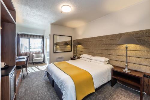Greymouth Hotel | The Ashley Hotel Greymouth