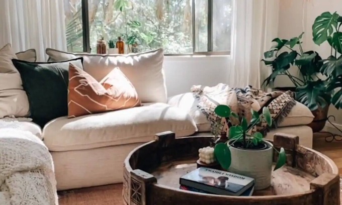 Currumbin Apartment | The Bird Bach - A serene stay nestled in nature with a quick walk to the beach!