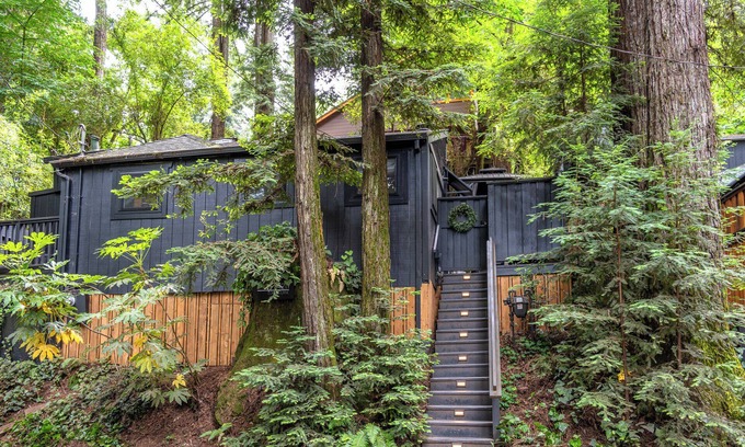Guerneville Cabin | The Black Nest~ Stylish and Serene Redwood Retreat 5 Stars! WIFI/HotTub/Pup