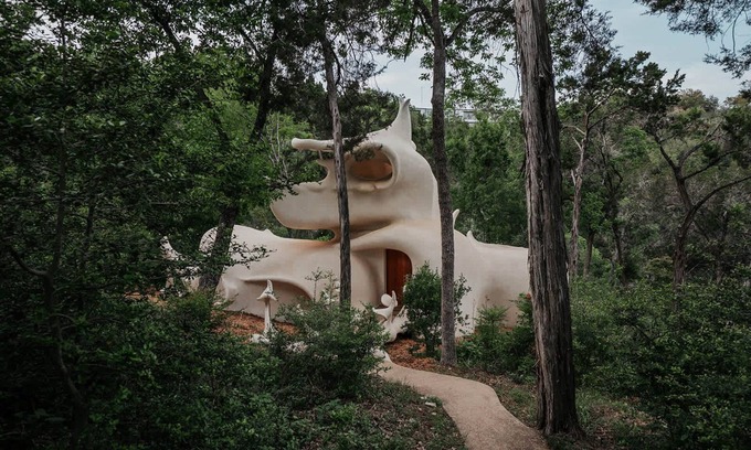 Westlake Highlands House | The Bloomhouse | Iconic Austin Sculptural Stay