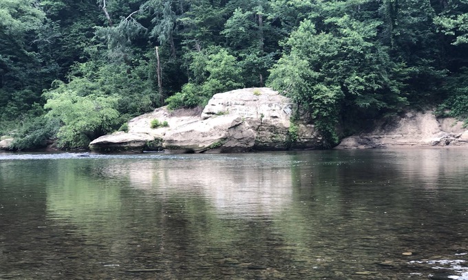 Revelo Cottage | The Blue Heron Farm Cottage ~ Big South Fork ~ Relax on Five Private Acres!