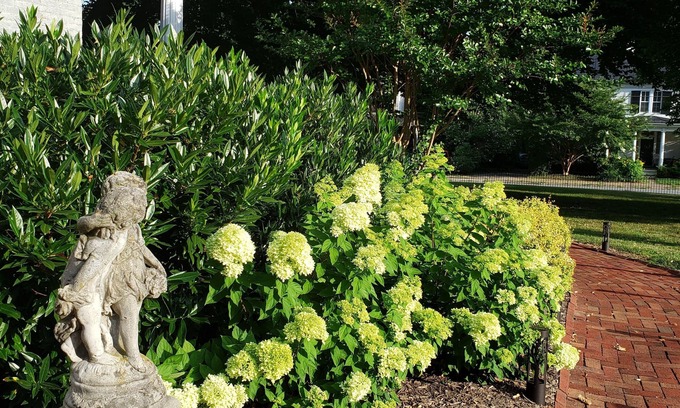 Charles Town Bed & Breakfast | The Carriage Inn B&B