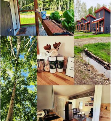 Badger House | The Fancy Fox - Frontier Village