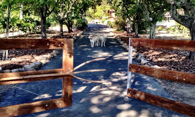 Oak Knoll Other | The Farmhouse Vineyard