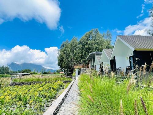 Songan House | The Iris Volcano