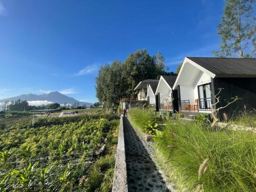 Songan House | The Iris Vulcano's