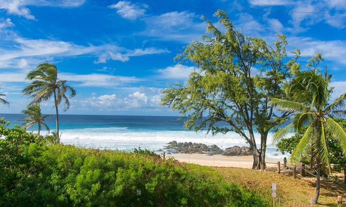 Pupukea Apartment | The Nicest Getaway!