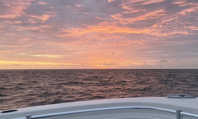 Brooksville House | The Pierce House Enjoy Floridas Nature Coast. Kayak the Weeki Wachee River