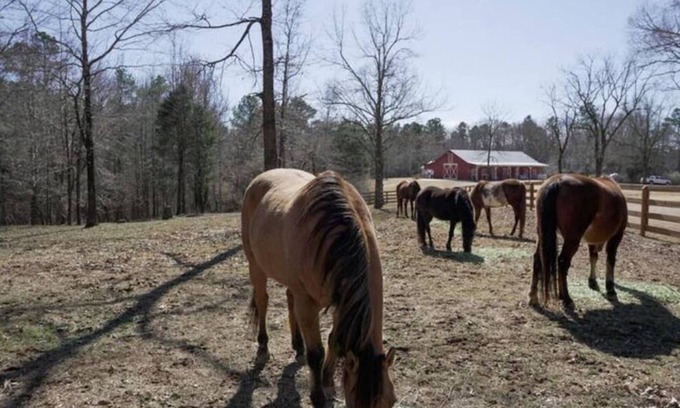 Oxford House | The Red Barn Luxurious