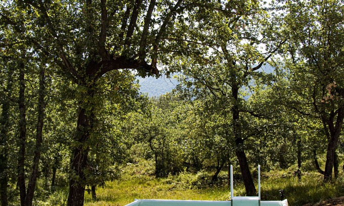 La Celle House | The villa Cinsault, unspoiled jewel from typical Provence with 3 lovely bedrooms