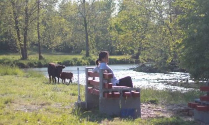 Haywood Cottage | This working homestead is a destination not just a place to stay.