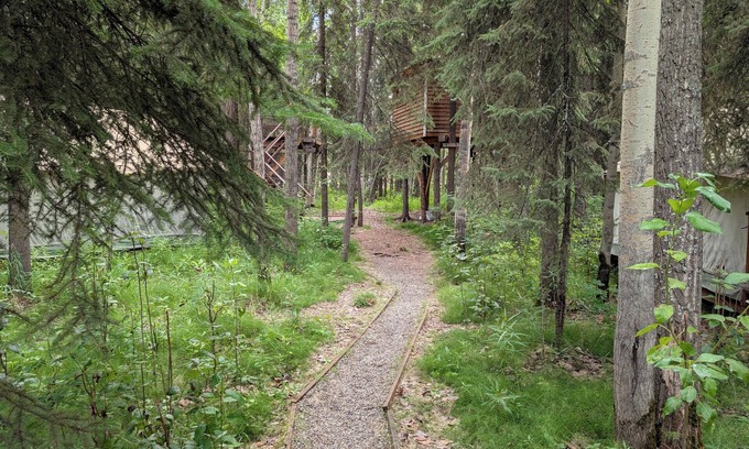 College Cabin | Time for adventure. Sleep in a treehouse. 5 minutes from the airport & downtown!
