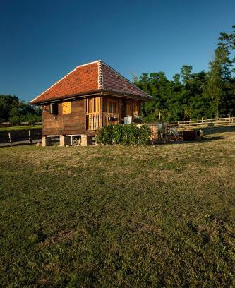Kapela House | Tiny house AMBAR