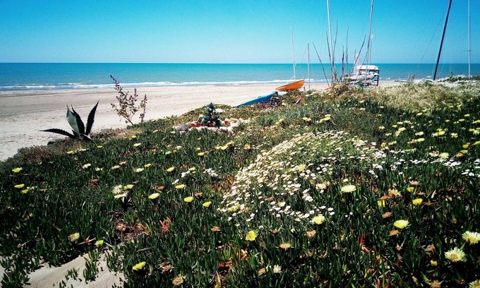 Torvaianica Apartment | Torvajanica center, 200mt from the beach, 75sqm, 5 beds, large terrace