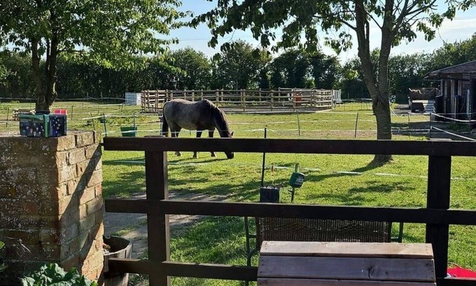 Mablethorpe and Sutton Cabin | Tranquil Equestrian Escape - Sleeps 2