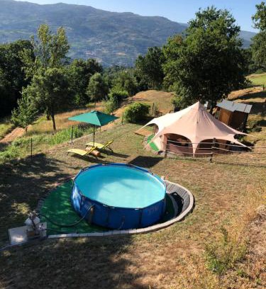 Baiao Other | Tranquility Tent