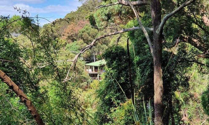 Bar Point House | Tree house by the river - forest serenity just an hour from the city