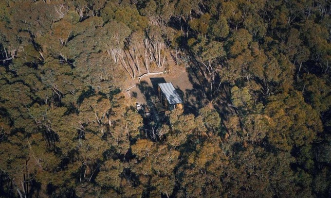 Walmer House | Treetops 2 by Tiny Away
