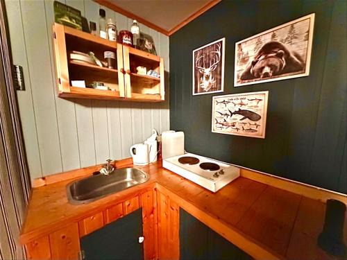 Meraker Other | Turifoss Camping Cabin 1