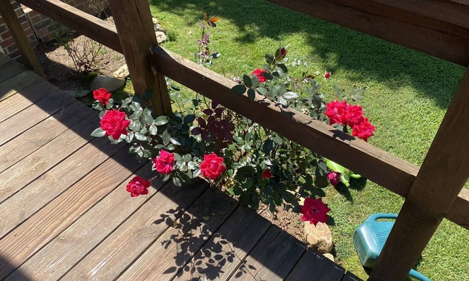 Old Fort House | Turner Family Home❤️10 min to Black Mtn-5⭐️relaxing getaway-25min to Aville