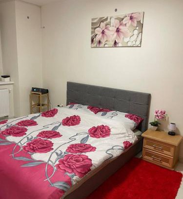 Strakonice Apartment | U Tonyho - Apartmán v centru Strakonice 2-kk