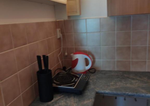 Horka u Stare Paky Apartment | ubytování v zastávce