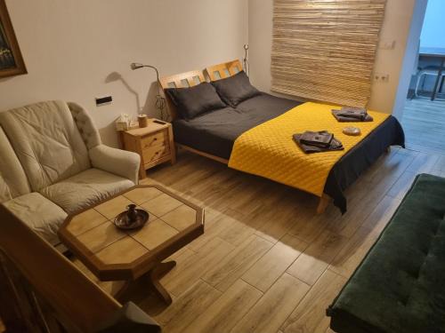Bistrita Apartment | Ultracentral Garage studio