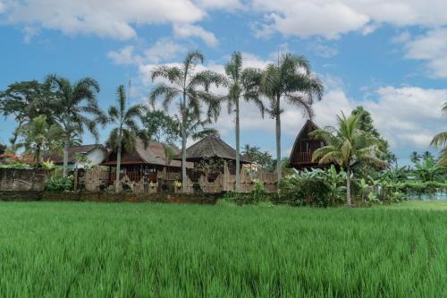 Taro Villa | Umadesa Villa Tegallalang Ubud