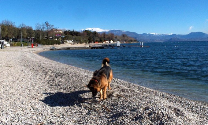 Moniga del Garda Apartment | Una casa tra gli olivi 1 Moniga del Garda